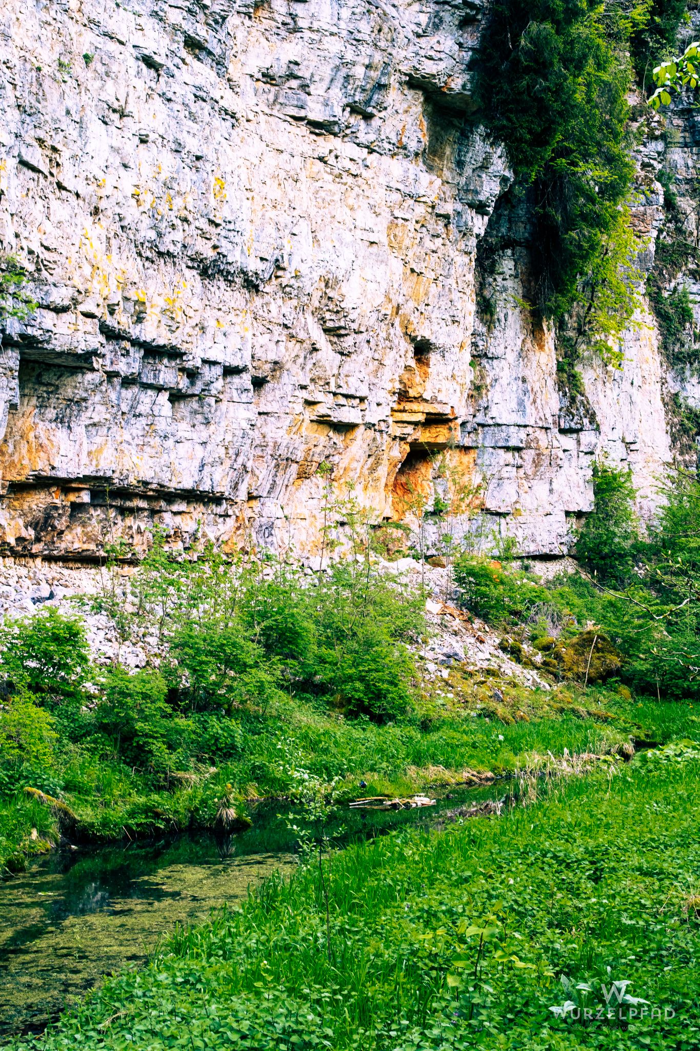 Felswand in der Wutachschlucht